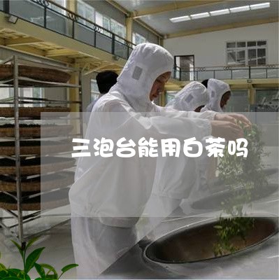 三泡台能用白茶吗/2023061544814