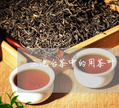 三泡台茶中的用茶叶/2023042558260