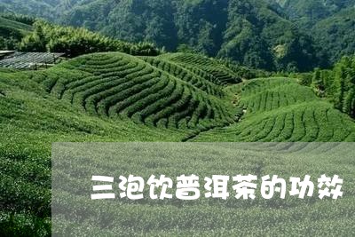 三泡饮普洱茶的功效/2023112742837