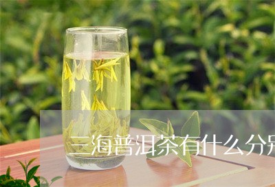 三海普洱茶有什么分别/2023120610583