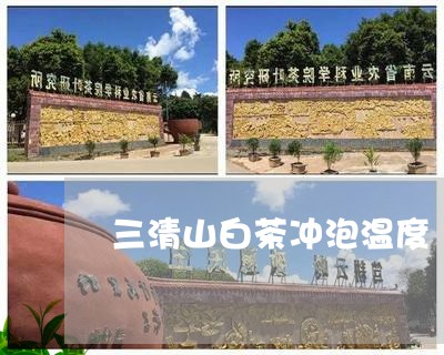 三清山白茶冲泡温度/2023071409606