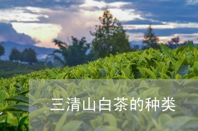 三清山白茶的种类/2023061561496