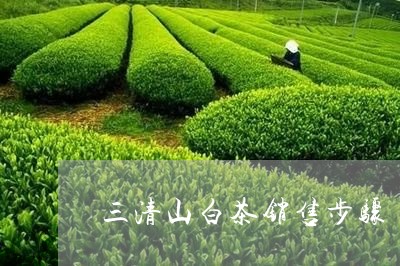 三清山白茶销售步骤/2023121614138
