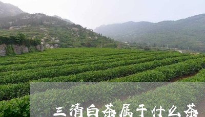 三清白茶属于什么茶/2023071497263