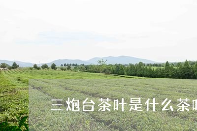 三炮台茶叶是什么茶叶/2023061055847