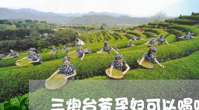 三炮台茶孕妇可以喝吗/2023071489583