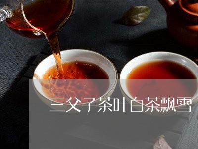 三父子茶叶白茶飘雪/2023071416158