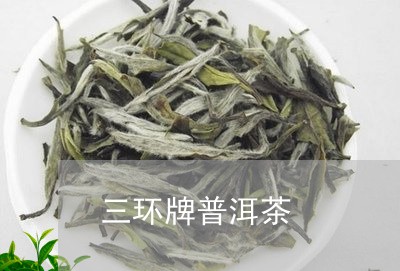 三环牌普洱茶/2023042913155