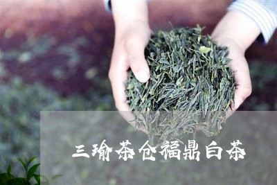 三瑜茶仓福鼎白茶/2023112583037