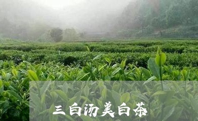 三白汤美白茶/2023051222748