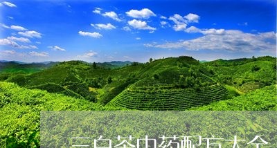 三白茶中药配方大全/2023121611705