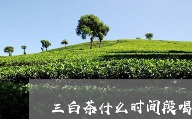 三白茶什么时间段喝/2023121667473