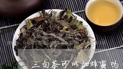 三白茶可以加蜂蜜吗/2023071413938