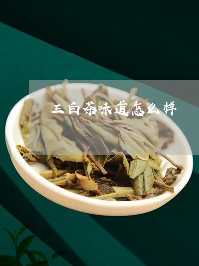 三白茶味道怎么样/2023061530815