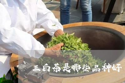 三白茶是哪些品种好/2023081134846