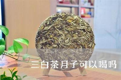 三白茶月子可以喝吗/2023071478371