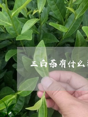 三白茶有什么禁忌吗/2023071466306