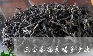 三白茶每天喝多少次/2023121647292