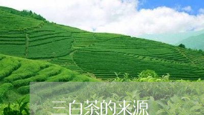 三白茶的来源/2023051257252