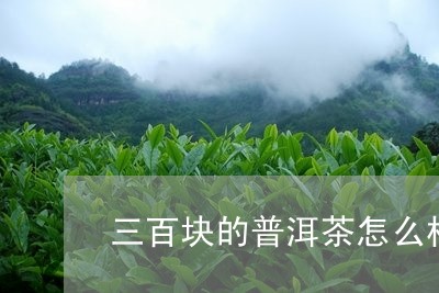 三百块的普洱茶怎么样/2023072310815