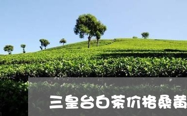 三皇台白茶价格桑黄/2023071446068