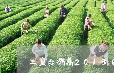 三皇台福鼎2013白茶/2023092123826