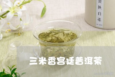 三米香宫廷普洱茶/2023120422714