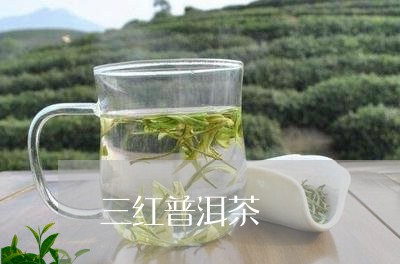 三红普洱茶/2023102541593