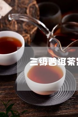 三级普洱茶是好还是坏/2023092657464