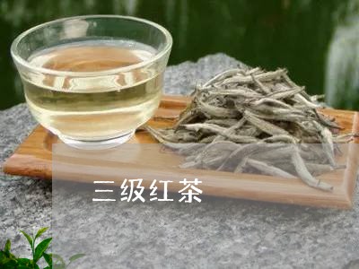 三级红茶/2023090283504