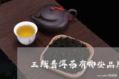 三线普洱茶有哪些品牌/2023092824937