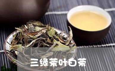 三缘茶叶白茶/2023051203816