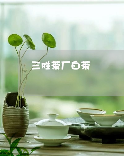 三胜茶厂白茶/2023051273705