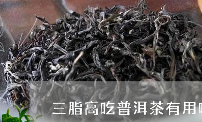 三脂高吃普洱茶有用吗/2023120657070