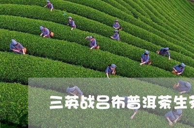 三英战吕布普洱茶生茶价格/2023110195053