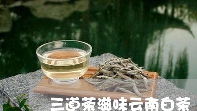 三道茶滋味云南白茶/2023071458472