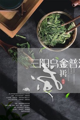 三阳乌金普洱茶膏价格/2023061717492