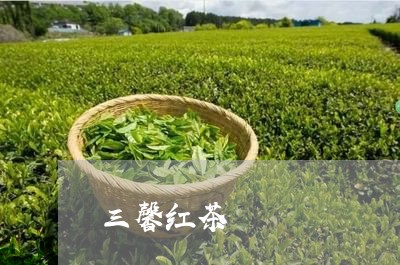 三馨红茶/2023121920694
