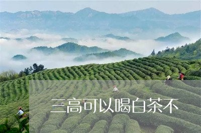 三高可以喝白茶不/2023061410814