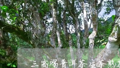 三高喝普洱茶生茶熟茶/2023062292824