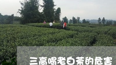 三高喝老白茶的危害/2023121537040