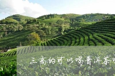 三高的可以喝普洱茶吗/2023092637378