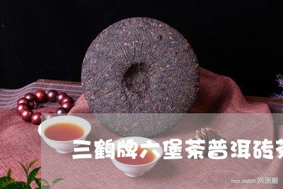 三鹤牌六堡茶普洱砖茶/2023092556369