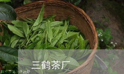 三鹤茶厂/2023090194826