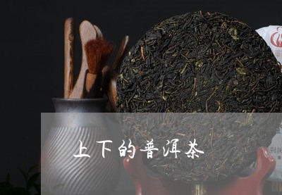 上下的普洱茶/2023042742152