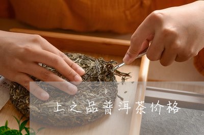 上之品普洱茶价格/2023120469614