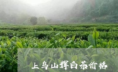 上乌山辉白茶价格/2023061441726