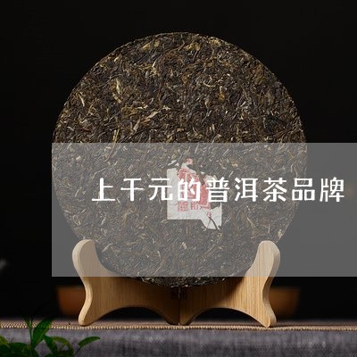 上千元的普洱茶品牌/2023071066360