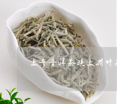 上午普洱茶晚上荷叶茶/2023100702604