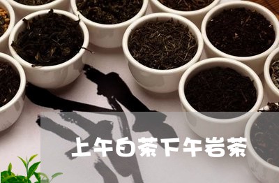 上午白茶下午岩茶/2023061413061